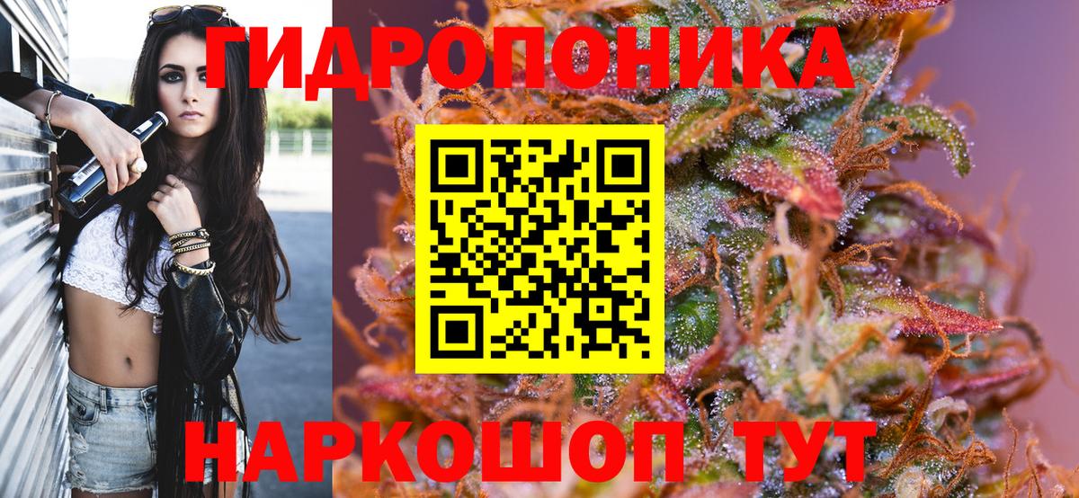 Канабис OG Kush  МАРИХУАНА семена  Карталы  Шишки марихуана семена  Вход с VPN 